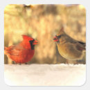 Search for red cardinal bird stickers Autumn