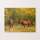 Search for equestrian puzzles Nature