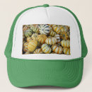 Search for pies hats Fall
