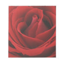 Search for affection notepads Beauty
