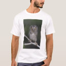 Search for asio One animal