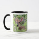 Search for hide mugs Outdoors