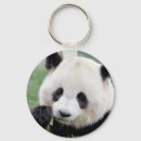 Search for giant round key rings Animals