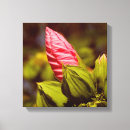 Search for buds canvas prints Floral