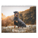 Search for rottweilers calendars Puppy