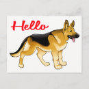 Search for germans postcards Dogs