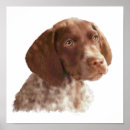 Search for german shorthaired posters Hunter