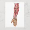 Search for forearm Human body parts