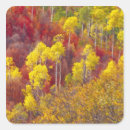 Search for wasatch stickers Wasatch cache national forest