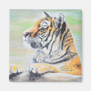 Search for tigers in magnets Black