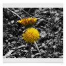 Search for early spring art Nature