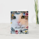 Search for white cat cards Pet