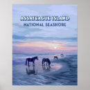 Search for assateague posters Virginia