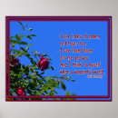 Search for red roses posters Flower