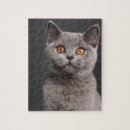 Search for bruxelles puzzles Cats