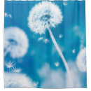 Search for dandelion shower curtains Abstract