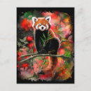 Search for cute red panda bear postcards Animal