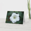 Search for weed cards Plant