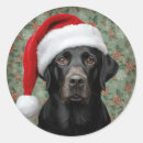 Search for lab stickers Watercolor