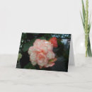 Search for single rose cards Yellow