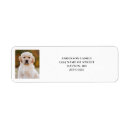 Search for pet return address labels Modern
