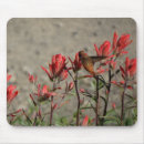 Search for ruby mousepads Flower