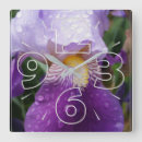 Search for iris clocks Purple