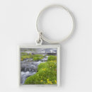 Search for blurred key rings Horizontal