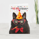 Search for funny black cat birthday cards Cats