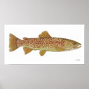 Search for trout posters Thom