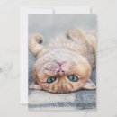 Search for british shorthair cards Kitty