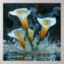 Search for calla lily art Botanical