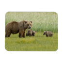 Search for three magnets Coastal
