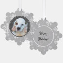 Search for clumber spaniel White