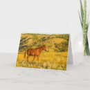Search for sanctuary cards Horse