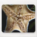 Search for marine creature mousepads Underwater