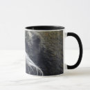 Search for emperor mugs Tamarin