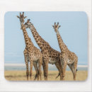 Search for east africa electronics Superstock
