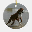 Search for dog run christmas tree decorations Bob and pam langrish