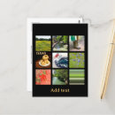 Search for texas postcards Nature