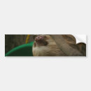 Search for forest bumper stickers Animal
