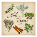 Search for herbs and spices posters Cooking