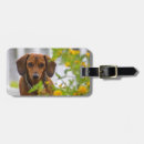 Search for dachshund gifts Hound