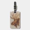 Search for moose Antler