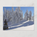 Search for snowmobiling postcards Winter