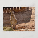 Search for travel postcards sympathy cards Tourism