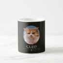 Search for funny cat mugs Pet photo