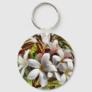 Search for plumeria key rings Hawaii