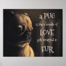 Search for fur posters Quote