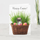 Search for pug easter cards Animal